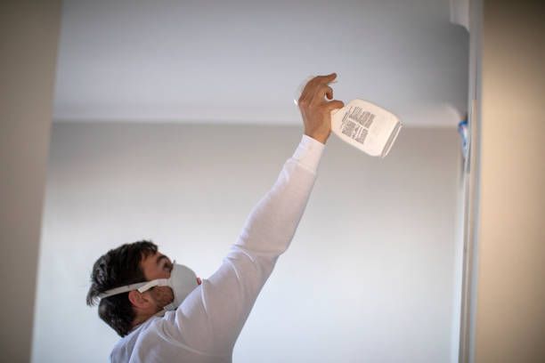 Best Water Damage Restoration  in Dearborn Heights, MI