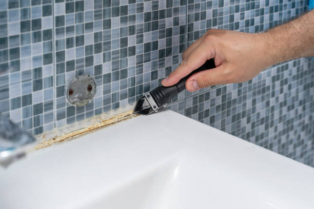 Best Certified Mold Removal  in Dearborn Heights, MI