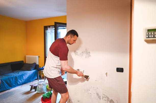 Best Attic Mold Removal  in Dearborn Heights, MI